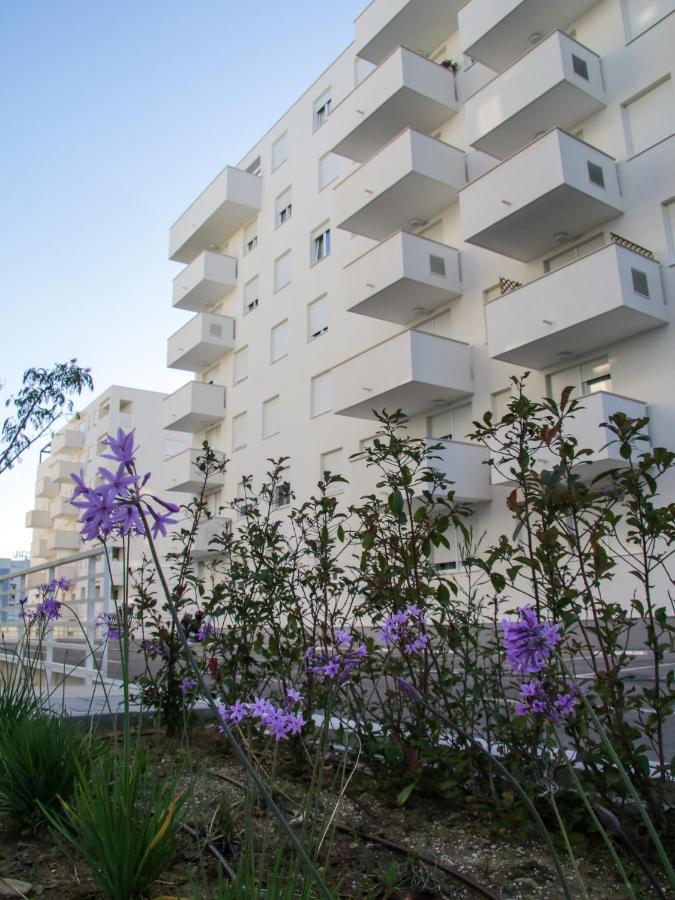 Luce Gold Apartment Zadar Bagian luar foto